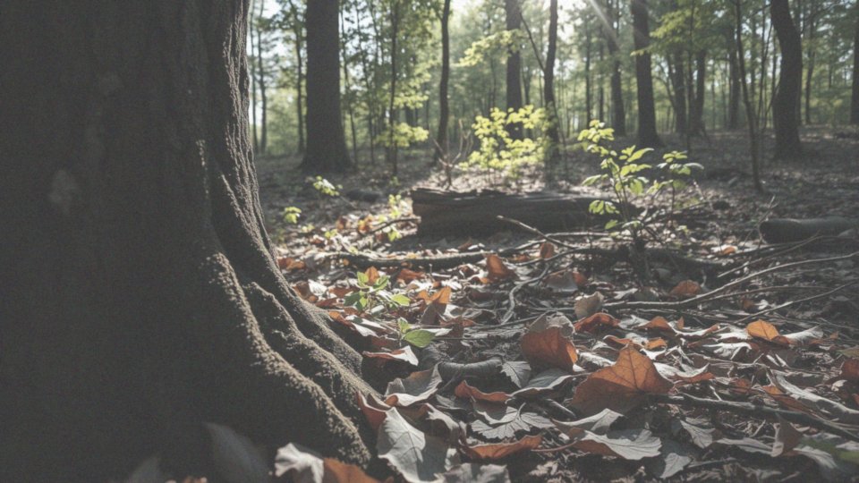 Jakie są różnice między jadowitymi a niejadowitymi wężami w Polsce?