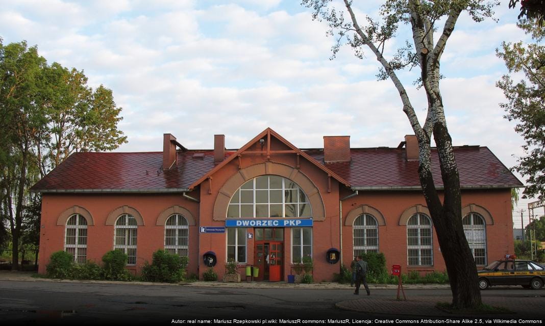 Ankieta dotycząca uzależnień w Pabianicach – opinie mieszkańców potrzebne!